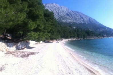 ...50 meters from the house